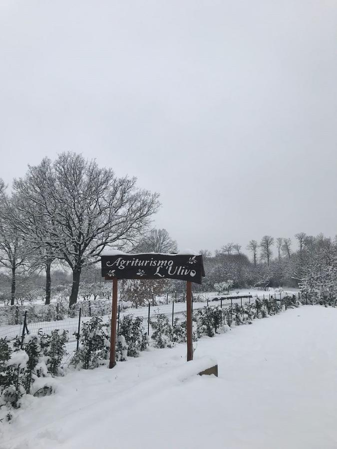 Agriturismo L'Ulivo Padula Exteriör bild