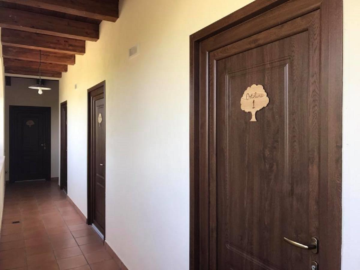Agriturismo L'Ulivo Padula Exteriör bild